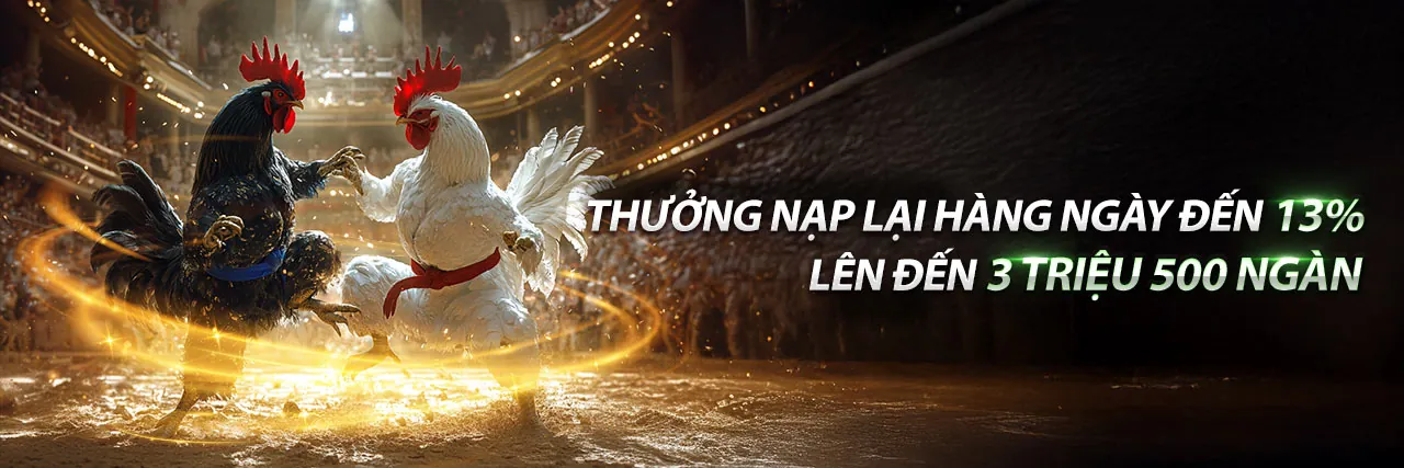 Hình ảnh chính về đá gà trực tuyến tại dg88 casino