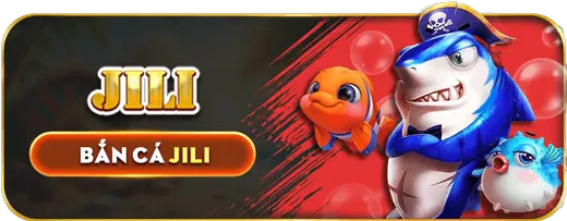 Minh họa quá trình thu thập và xử lý dữ liệu cá nhân của người chơi tại DG88 Casino