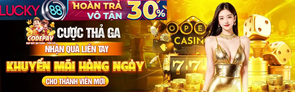 Chương trình Đại lý dg88 casino